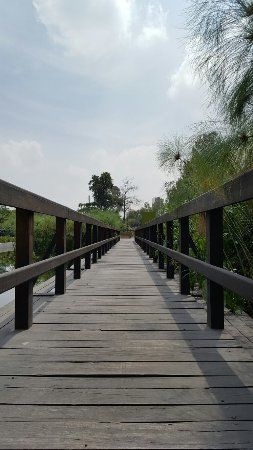 Zona Arqueológica El Conde